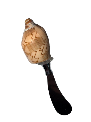 Two's Company Sand Bar Shell Spreader in Gift Box Assorted 4 Shells - Shell/Stainless Steel