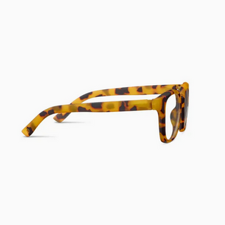 Peepers Zinnia (Blue Light) in Tokyo Tortoise
