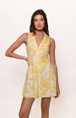 Hutch Colt Dress