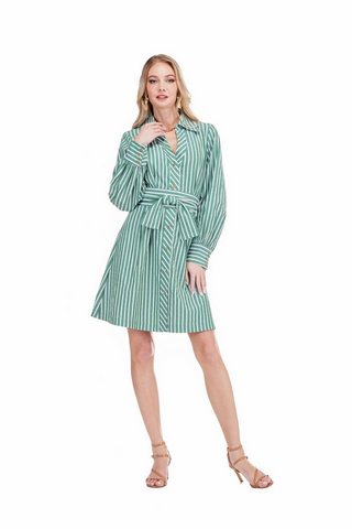 Jade Green Stripe Shirtdress