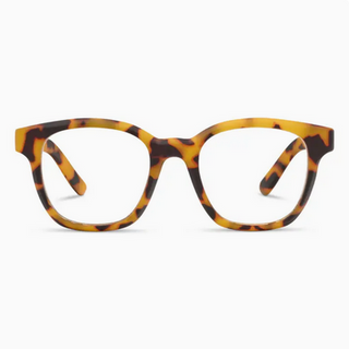 Peepers Zinnia (Blue Light) in Tokyo Tortoise