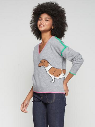 Vilagallo Dog Sweater