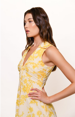 Hutch Colt Dress