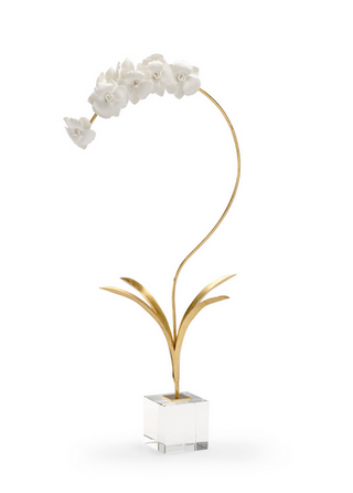 Small Orchid on Stand