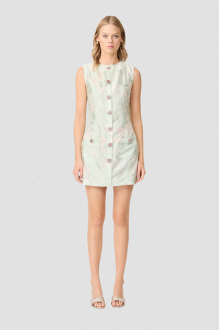 Elliatt Cecily Mini Dress