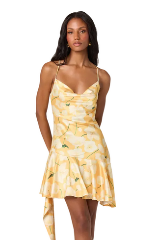 Astr Paloma Dress