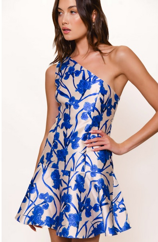 Hutch Silas Dress