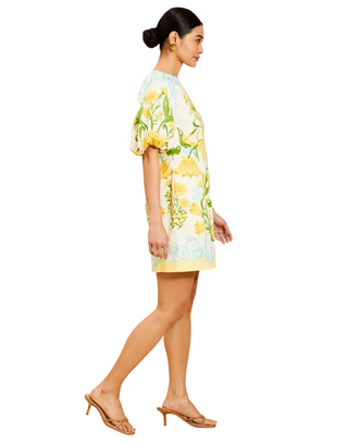 Mestiza New York Inc Donovan Mini Dress