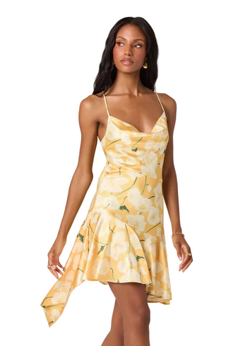 Astr Paloma Dress