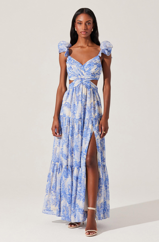 ASTR Fritillaria Dress / Blue Floral