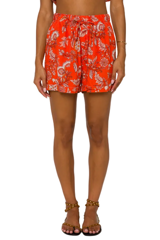 Velvet Heart Lyra Shorts