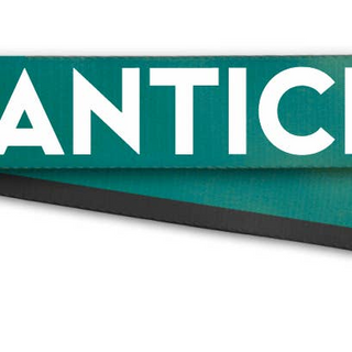 Monkee Collection Coastal Carolina Purse Strap