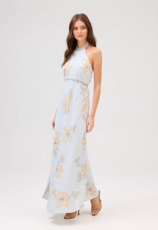 Allison Riley Maxi Dress