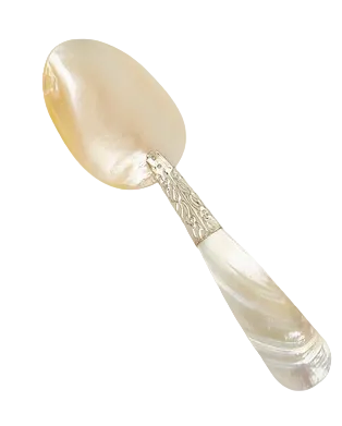Two's Company Pearl Fancy Mother of Pearl Ornamented Handle Spoon Assorted 3 Styles - MOP