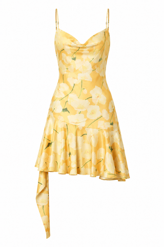 Astr Paloma Dress