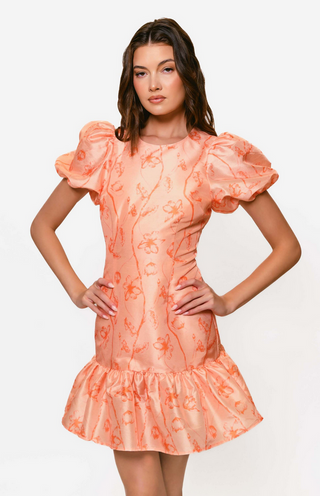 Hutch Rayan Dress / Peach Inked Trellis Floral