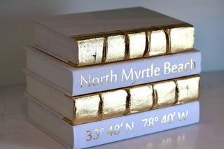 Monkee Collection 4 Vol. - City & Coordinates - Gold Lettered