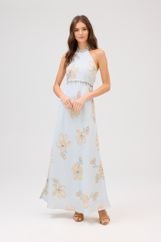 Allison Riley Maxi Dress