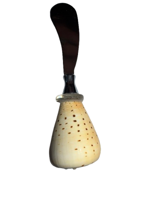 Two's Company Sand Bar Shell Spreader in Gift Box Assorted 4 Shells - Shell/Stainless Steel