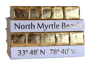 Monkee Collection 4 Vol. - City & Coordinates - Gold Lettered