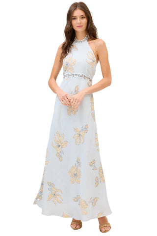 Allison Riley Maxi Dress