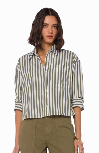 Velvet Heart Stormi Top in Burnt Olive