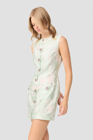 Elliatt Cecily Mini Dress