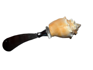 Two's Company Sand Bar Shell Spreader in Gift Box Assorted 4 Shells - Shell/Stainless Steel