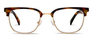 Peepers Rory Tortoise