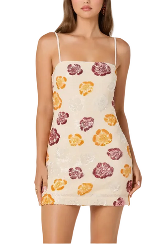 Astr Abelia Dress