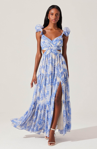 ASTR Fritillaria Dress / Blue Floral