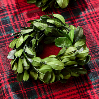 Two's Company Preserved Boxwood Wreath Napkin Rings Set of 4