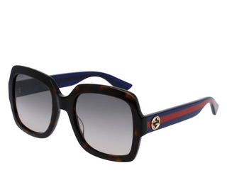 Gucci GG0036SN-004 / Havana Blue Brown