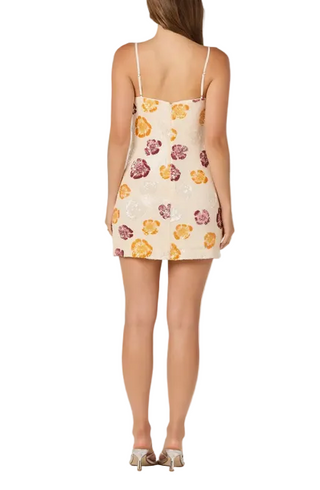Astr Abelia Dress