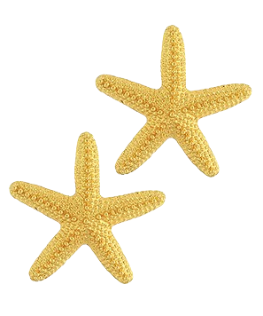 MC Textured Starfish Earrings