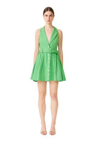 Elliatt Collared Mini Dress in Kellygreen