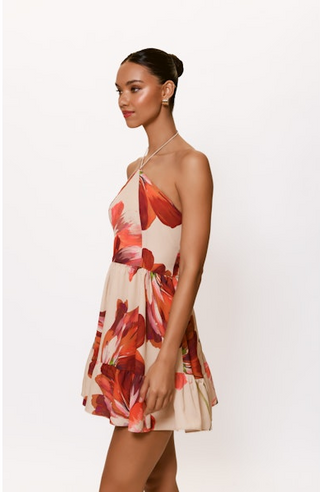 Hutch Mansi Dress