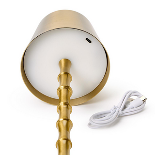 Two's Company LED Portable Cordless Gold Bamboo Table Lamp in Gift Box