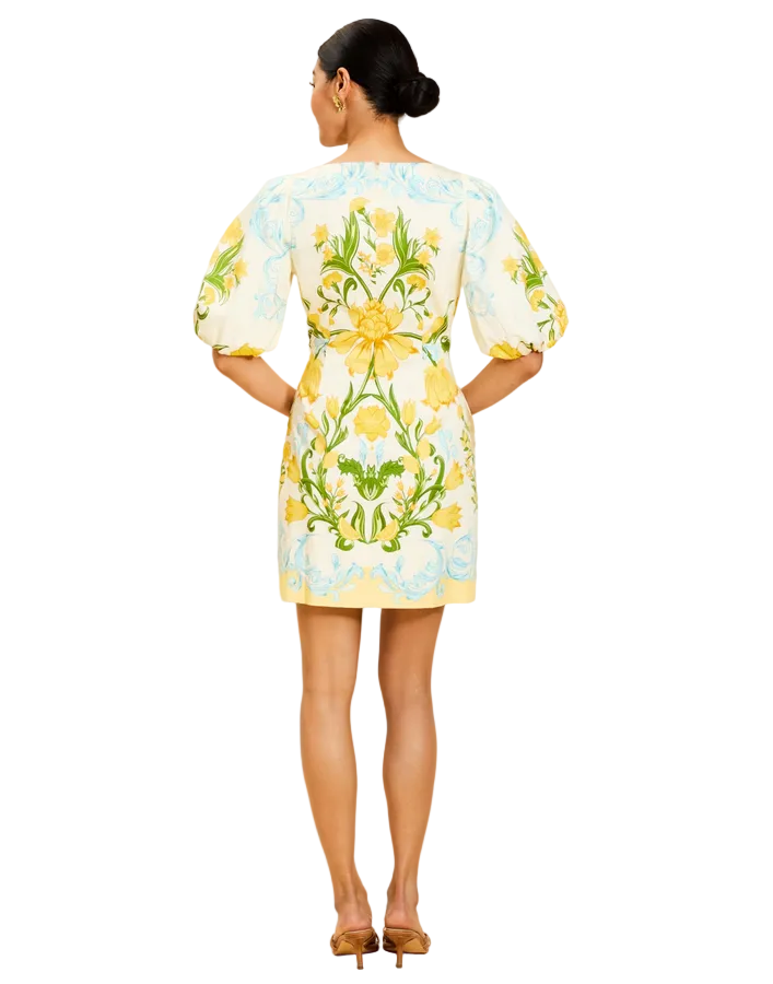 Mestiza New York Inc Donovan Mini Dress Lemon Verbena / 4