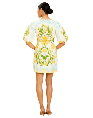 Mestiza New York Inc Donovan Mini Dress